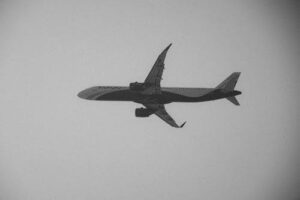 IMG_4552