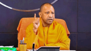 yogi